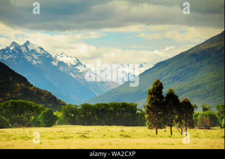 Grün Neuseelands Landschaft Stockfoto
