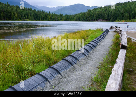 WHISTLER, BC/KANADA - August 2, 2019: Sensible Sumpf Lebensraum in Lost Lake Park. Schwarze Schutzhülle Düker bis zum Schutz der westlichen Kröten durin eingestellt Stockfoto