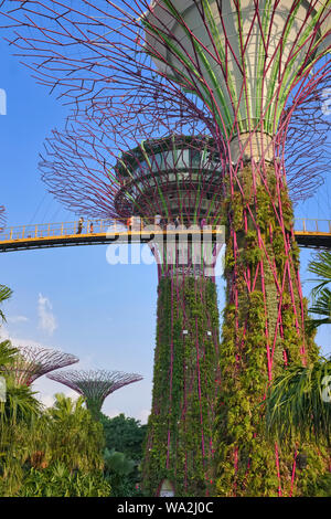 Touristen auf dem ocbc Skyway zwischen den SuperTrees in Gärten durch die Bay, Marina Bay, Singapore, einer der wichtigsten touristischen Attraktionen der Stadt, Staat Stockfoto