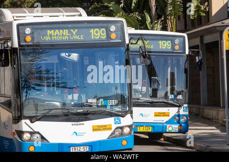 Zwei Sydney die Busse im öffentlichen Personennahverkehr, der Seite an Seite in Palm Beach, Sydney, Australien Stockfoto