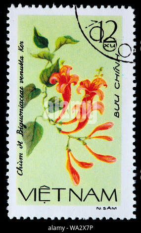 Pyrostegia venusta, flamevine, orange trumpetvine, schleichende Blume, Briefmarke, Vietnam, 1980 Stockfoto