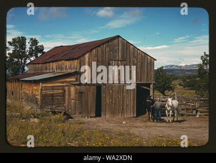 Bill Stagg, Homesteader vor seiner Scheune, Pie Town, New Mexico Stockfoto