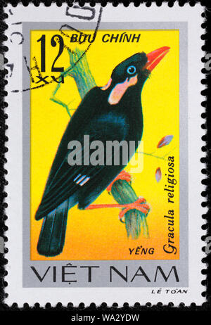 Gracula religiosa, gemeinsame Hill Myna, Songbird, Briefmarke, Vietnam, 1978 Stockfoto