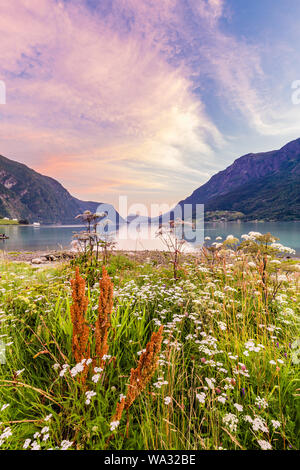 Blick auf schönen Sognefjord bei Sonnenuntergang von Skjolden Sogn og Fjordane County in Westnorwegen. Stockfoto