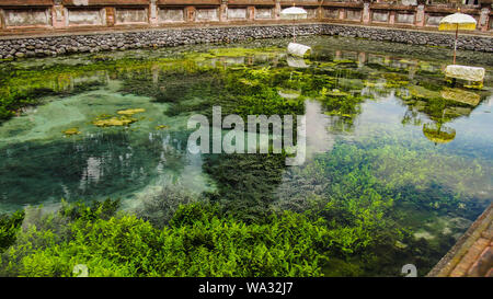 April 23, 2019 - Bali Indonesien: Heiliges Wasser Feder im Pura Tirta Empul, Bali. Bali, Indonesien Stockfoto