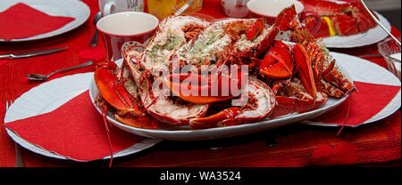 Gekochte Europäischer Hummer (Homarus gammarus) auf einem Teller bereit, gegessen zu werden. Stockfoto