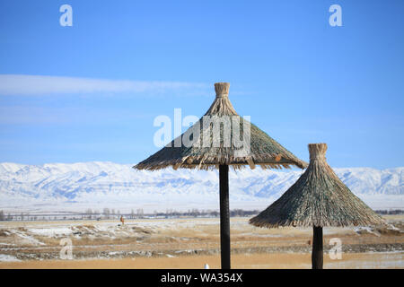 Tianshan-gebirges Stockfoto