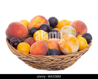 Altmodische Frucht von einem langen verlassenen Obstgarten in alten Weidenkorb, Schüssel. Winzig kleinen, süßen Pflaumen, Pfirsiche usw. Vorderansicht. Isoliert. Stockfoto