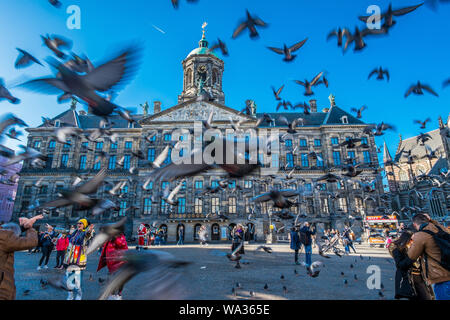 Amsterdam in den Niederlanden Stockfoto