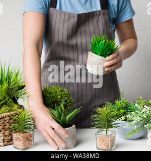 Florist, Topfpflanzen auf Tisch, Fruchtart Stockfoto