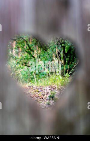 Blick durch eine herzförmige Öffnung in üppige grüne Natur Stockfoto