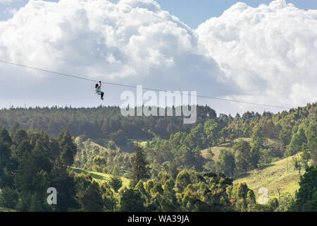 Eine Frau, die auf ein Zip Line im Forest Recreation Center, Kenia Stockfoto