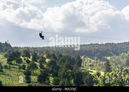 Ein Mann auf einem Zip Line im Forest Recreation Center, Kenia Stockfoto