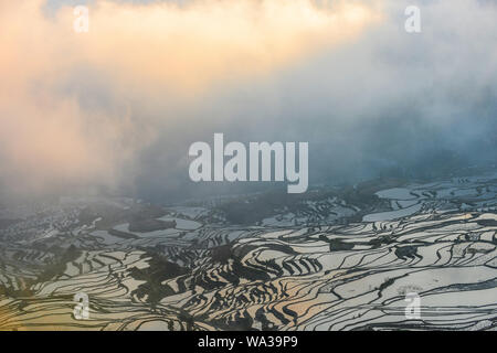 Yuan Yang Terrassen Stockfoto