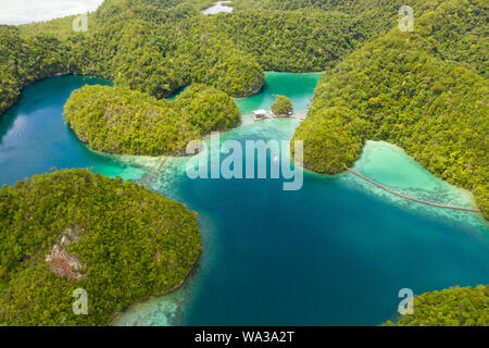 Bucht und blaue Lagune zwischen kleinen Inseln mit Regenwald bedeckt. Sugba Lagune, Siargao, Philippinen. Luftaufnahme der Sugba Lagune, Siargao, Philippinen. Stockfoto