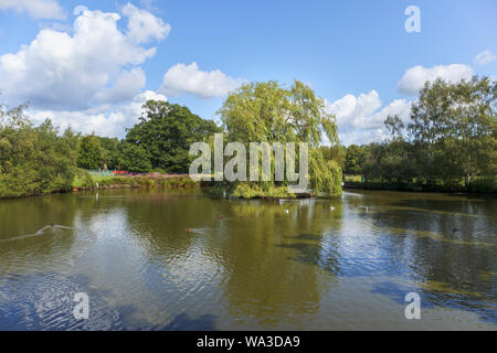 Ententeich mit einer Trauerweide auf einer Insel im Village Green in Pirbright, einem Dorf in der Nähe von Woking, Surrey in Guildford Borough, Südost England Stockfoto