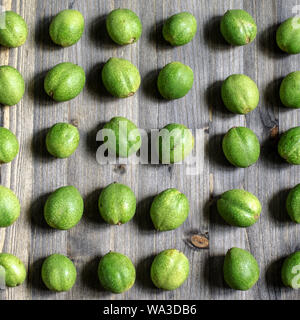 Junge grüne Früchte der Walnüsse liegen in den Zeilen auf einem grauen Hintergrund aus Holz. Stockfoto