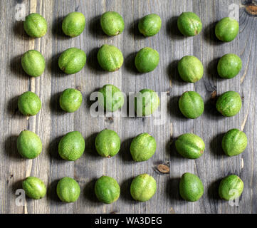 Junge grüne Früchte der Walnüsse liegen in den Zeilen auf einem grauen Hintergrund aus Holz. Stockfoto