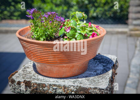 Street Design mit grossen Blumentopf Stockfoto