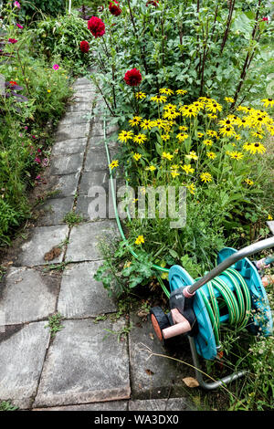 Bewässerungsschlauch verlegt im gepflasterten Gartenweg Allotment Garten Gehweg Gartenschlauch Stockfoto