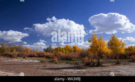 Egina Landschaft in der Inneren Mongolei Stockfoto