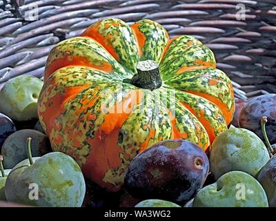 Bunte Kürbisse mit süßen Pflaumen in einem Korb Stockfoto