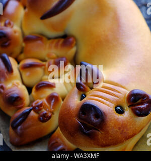 In der Nähe von Moon Cake mit Mutter Schwein und Ferkel in Form von oben zu sehen, traditionelles Gebäck für Mitte Herbst Jahreszeit Stockfoto