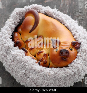 In der Nähe von Moon Cake mit Mutter Schwein und Ferkel in der kammgarn Korb aus draufsicht Form, traditionelles Gebäck für Mitte Herbst Jahreszeit Stockfoto