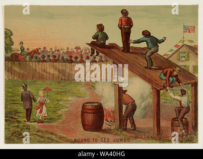 Gebunden Jumbo zu sehen Stockfoto