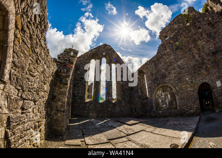 Ruinen der Cong Abbey auch als die königliche Abtei von Cong bekannt, im County Mayo Irland Stockfoto