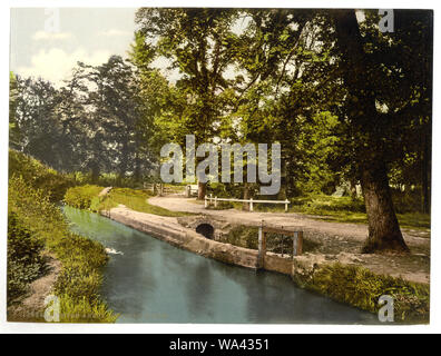 Bradley Woods, Newton Abbott, England; Teil: Blick auf den Britischen Inseln, in der Photochrom print Collection.; Stockfoto