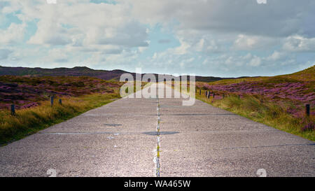 Landstraße in rosa blühende Heide, Ende Sommer. Kopieren Sie Platz. Konzept für im Hintergrund Design, Reisen mit dem Rad, e-Bike und Motorrad. Stockfoto