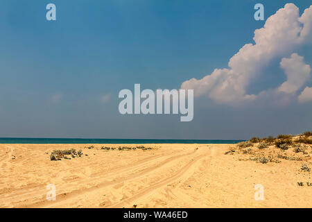 Spuren eines Autos auf einem Sandstrand. Stockfoto
