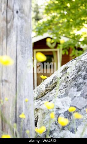 Vertikale Nahaufnahme von gelben Blüten in der Nähe einer felsigen Oberfläche Auf dem verschwommenen Hintergrund einer Kabine Stockfoto