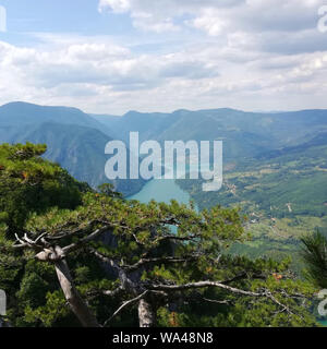 Aussichtspunkt Banjska Stena bei Tara Mountain - Serbien Stockfoto