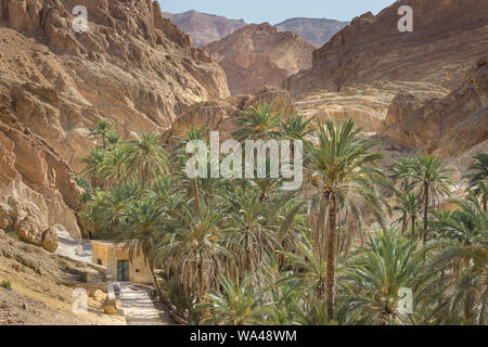 Schöne Chebika Berg Oase mitten in der Wüste Sahara in Tunesien, sonnendurchfluteten Palmen, blauer Himmel und beeindruckenden felsigen Klippen Stockfoto