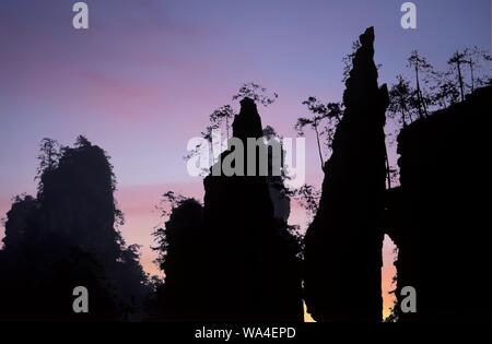 Silhouetted Quarzit schmalen Sandstein Säulen und Kalksteinsäulen bei Yubei Feng im Wulingyuan Scenic and Historic Interest Area im Zhangjiajie National Forest Park in Hunan Provinz China Stockfoto