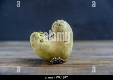 Gekeimte Kartoffeln, in Form von einem Herz auf braunem Holz- Hintergrund Stockfoto