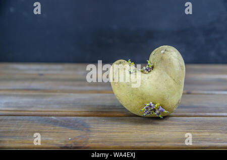 Gekeimte Kartoffeln, in Form von einem Herz auf braunem Holz- Hintergrund mit Kopie Raum Stockfoto