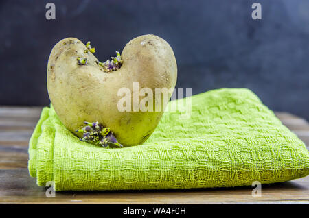 Gekeimte Kartoffeln, in Form von einem Herz auf braunem Holz- Hintergrund mit Kopie Raum Stockfoto