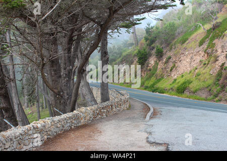 Cabrillo Highway, in der Nähe von Monterey, Kalifornien, USA Stockfoto