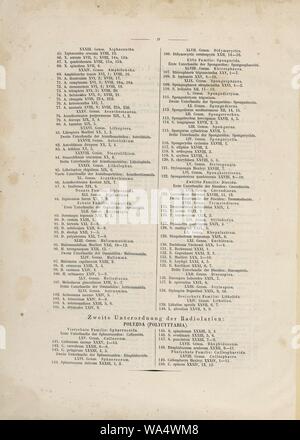 Die radiolarien (Rhizopoda radiata) - Ernst Haeckel - Abbildungsverzeichnis 02. Stockfoto