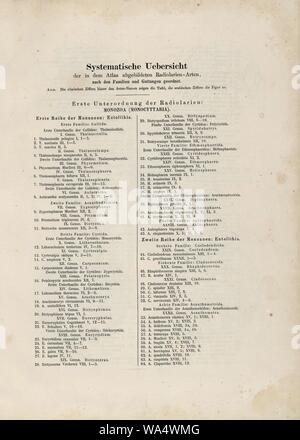 Die radiolarien (Rhizopoda radiata) - Ernst Haeckel - Abbildungsverzeichnis 01. Stockfoto