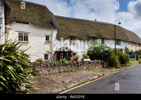 Reetgedeckte Cottages in Porlock Wehr, in der Nähe von MInehead, Someset Stockfoto