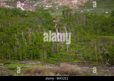 Basin Creek Stockfoto