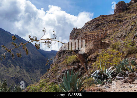 Ruinen von Ollantaytambo: Ruinen von weitgehend religiöse Bedeutung, den letzten und größten defensiven Strukturen der Inka Zeit, das Heilige Tal der Inkas Stockfoto