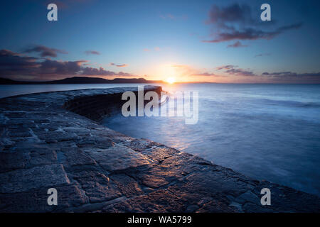 Der Cobb in Lyme Regis in der Morgendämmerung Stockfoto