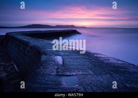 Der Cobb in Lyme Regis in der Morgendämmerung Stockfoto