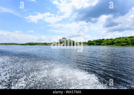 Panorama vom Amazonas-Regenwald, brasilianische Feuchtgebiet Region. Schiffbaren Lagune. Südamerika-Wahrzeichen. Amazonien Stockfoto