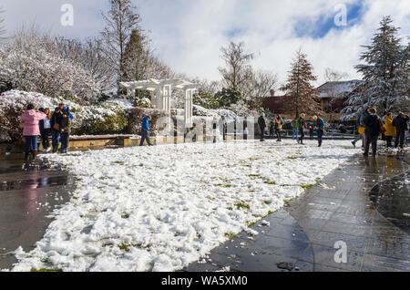 Katoomba, Blue Mountains, Australien, 10. August 2019: Touristen, die Verschneiten Gärten an der historischen Carrington Hotel in Katoomba nach einem Winter snowf Stockfoto